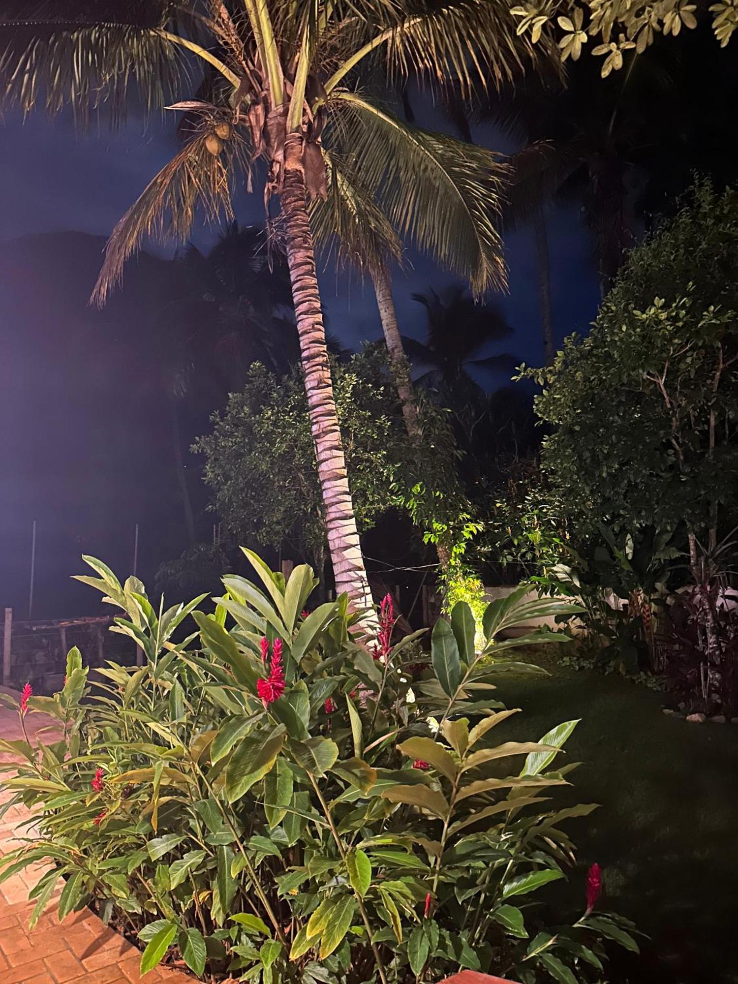 Vila Dos Tangaras, Casa 2 Boutique Riacho - 30M Do Mar Toque Toque Grande Eksteriør billede